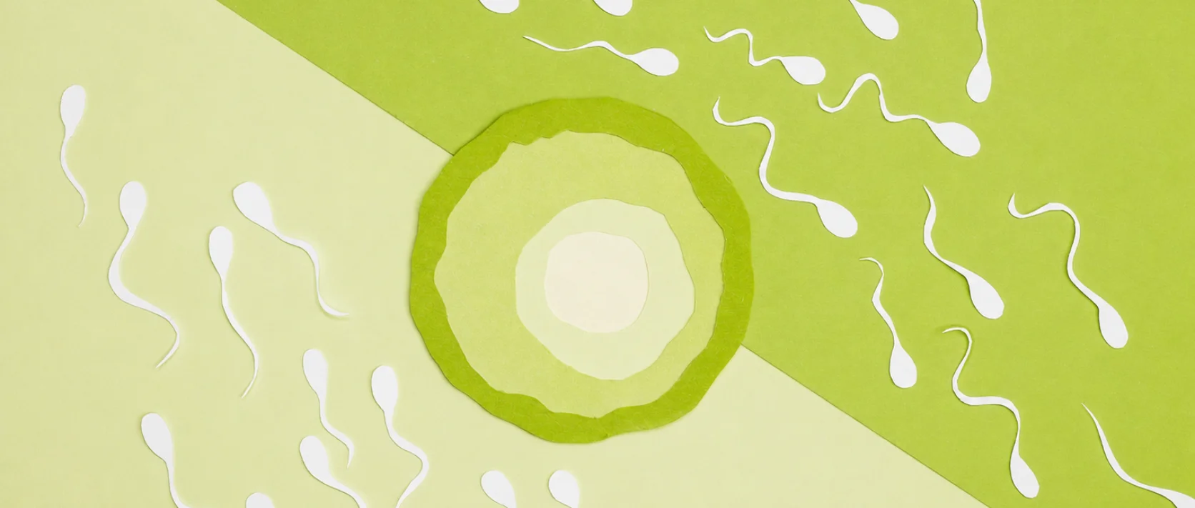IVF und ICSI Blogbeitrag Headerbild zum Thema Ihr Weg zum Wunschkind aus dem Kinderwunschzentrum Bonn